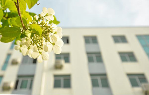 赫章县财神镇初级中学