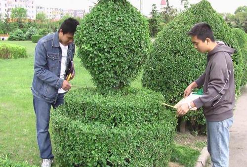 现代林业技术专业