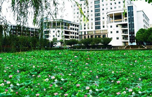东华理工大学自考
