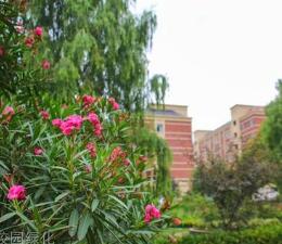 新都区高宁学校