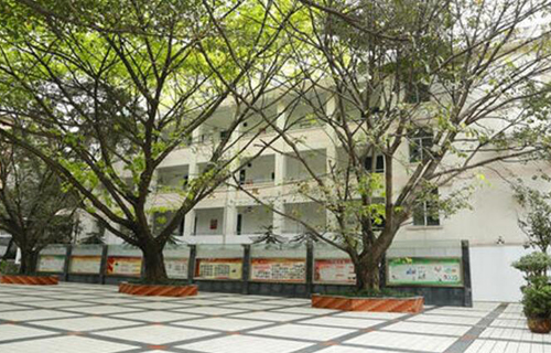 重庆市沙坪坝区凤凰镇中学