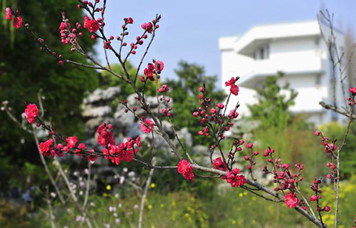 隆昌县龙市中学