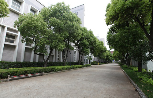 威信县长安中学