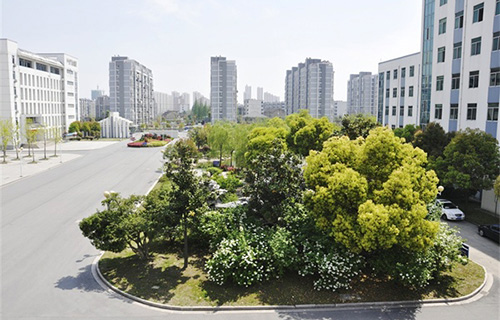酉阳县板桥乡双桥中学