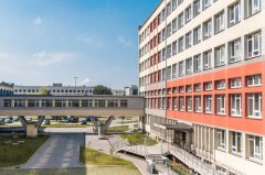 山东师范大学是211或985，